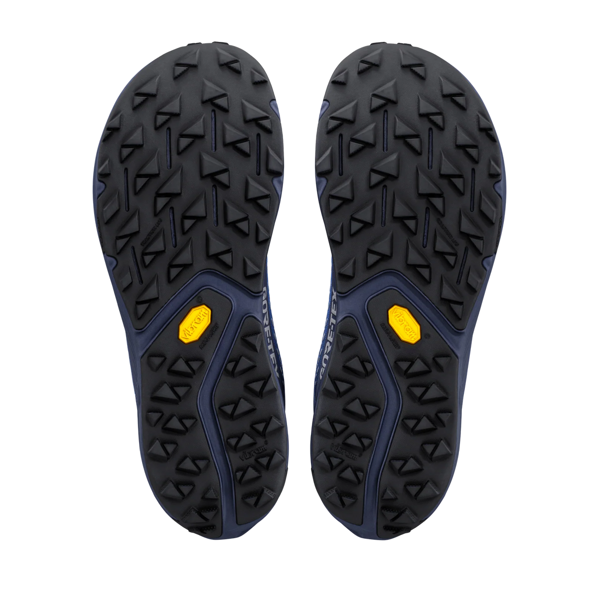 Altra Experience Wild 3+ GTX Men