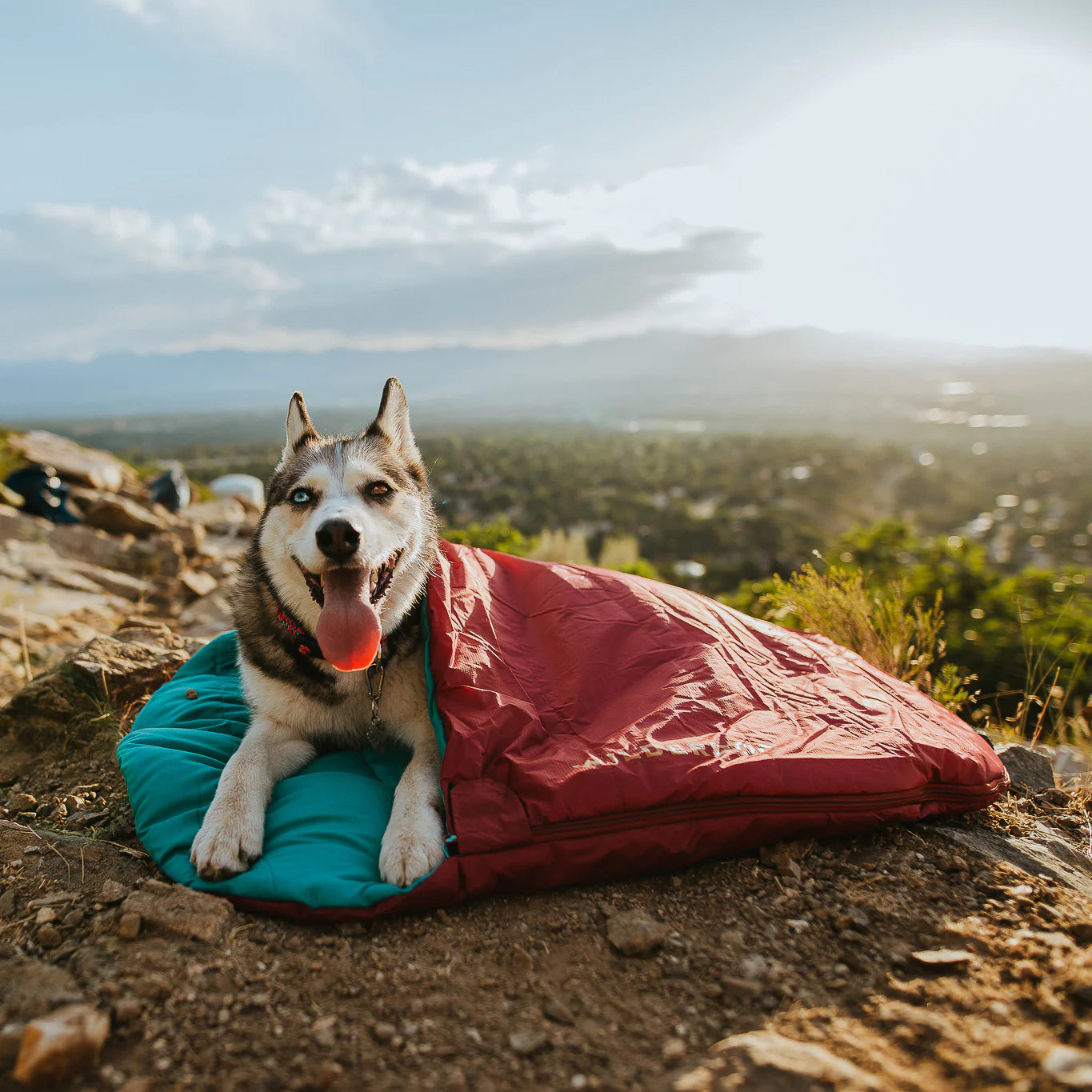 Wilderdog Sleeping Bag