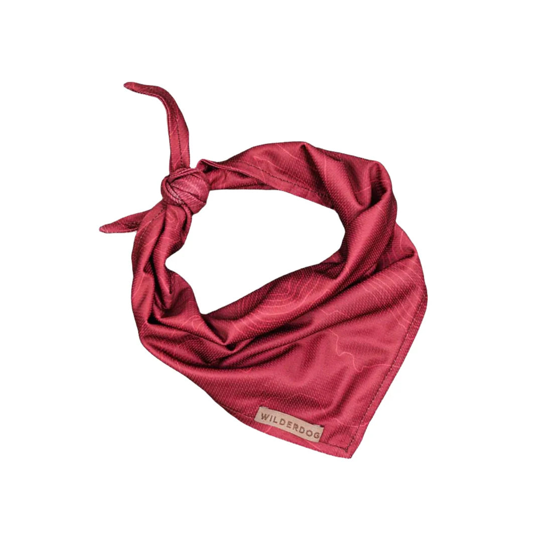Wilderdog Bandana
