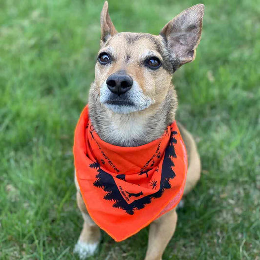 Ben's Bandana with Insect Shield for Dogs