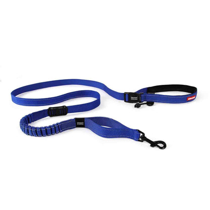 Ezydog Road Runner Leash: Blue / Standard