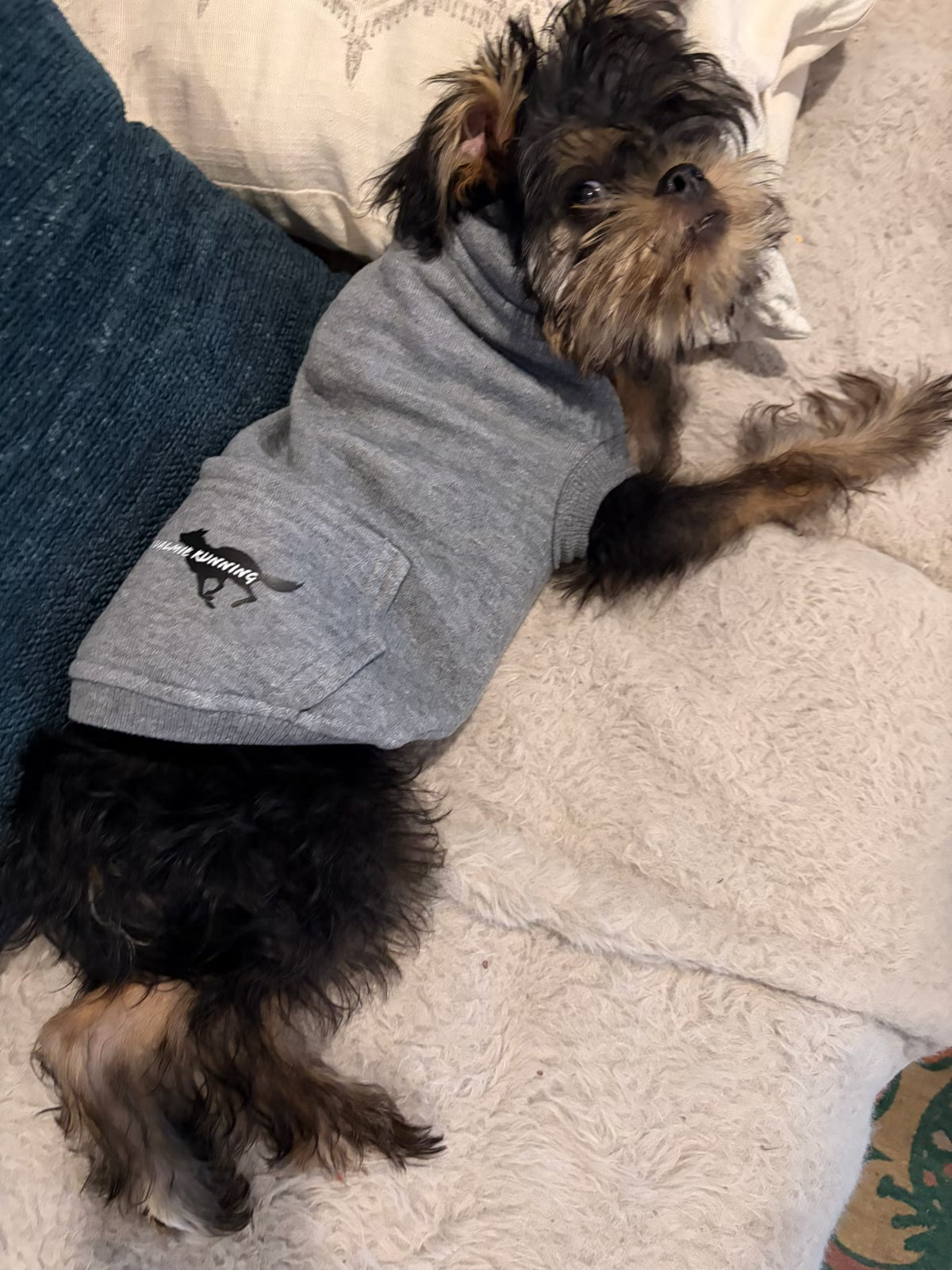 Snoqualmie Running Dog Hoodies