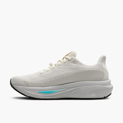 Brooks Ghost 17 GTX Women