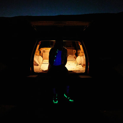 Speedland RX:SKY (SaySky)