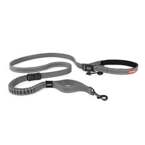 Ezydog Road Runner Leash: Red / Standard