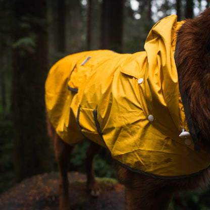 WIlderdog Dog Rain Jacket