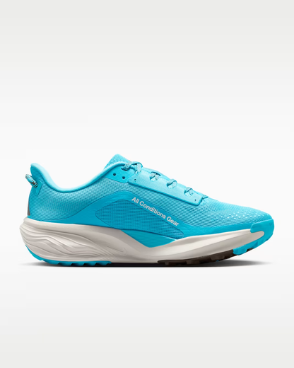 Nike ACG Pegasus Trail Men