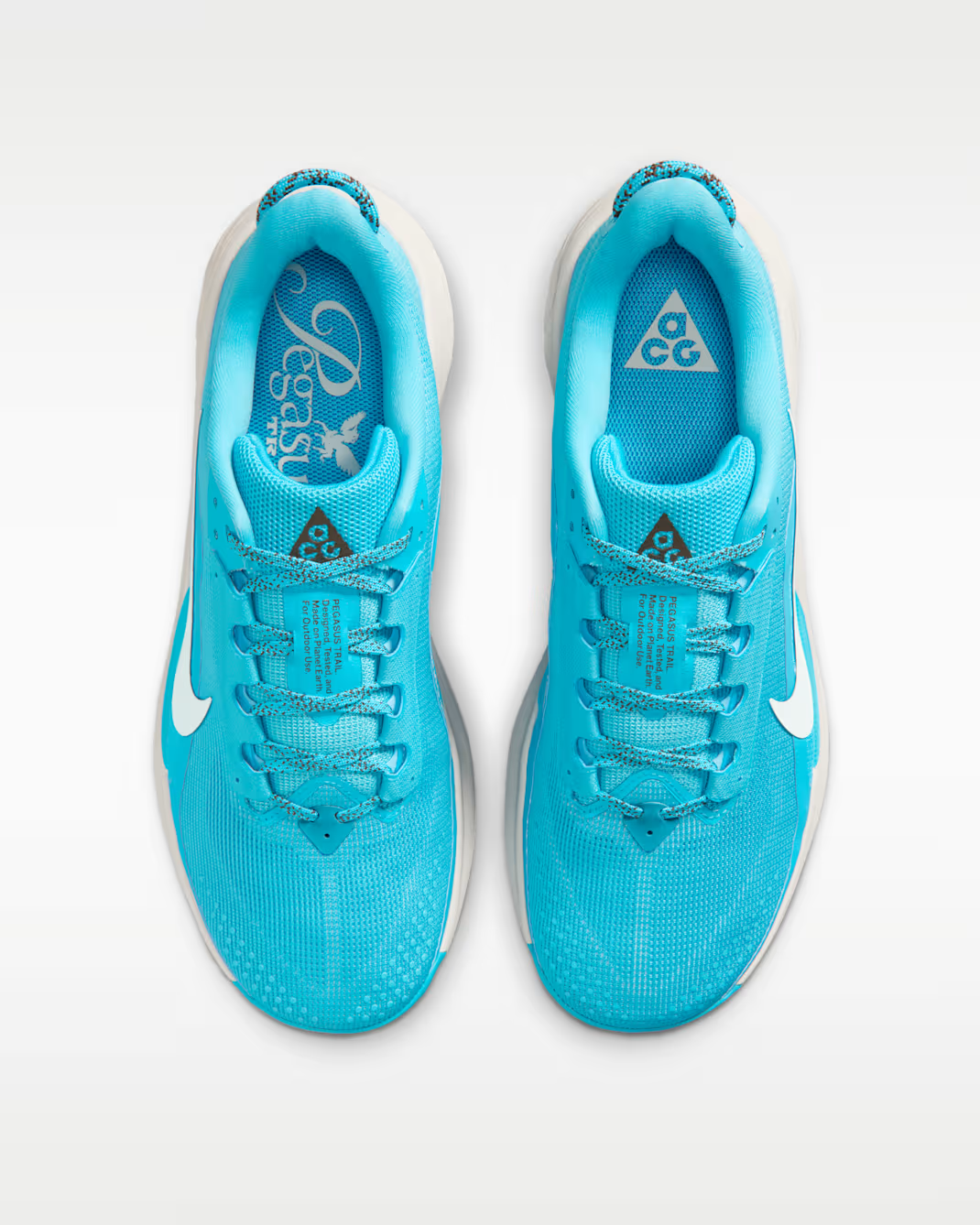 Nike ACG Pegasus Trail Men