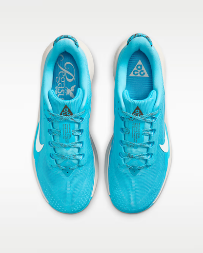 Nike ACG Pegasus Trail Men