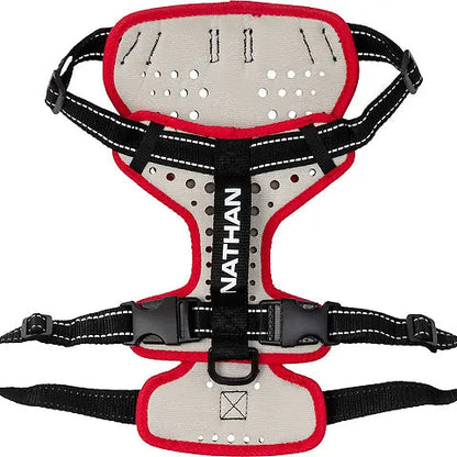 Nathan Reflective Dog Harness