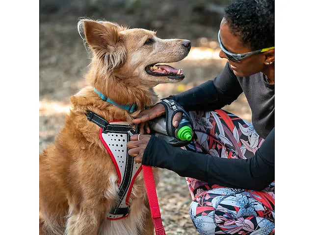 Nathan Reflective Dog Harness