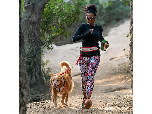 Nathan Reflective Dog Harness