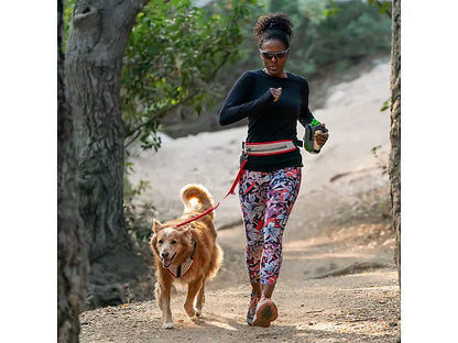 Nathan Reflective Dog Harness