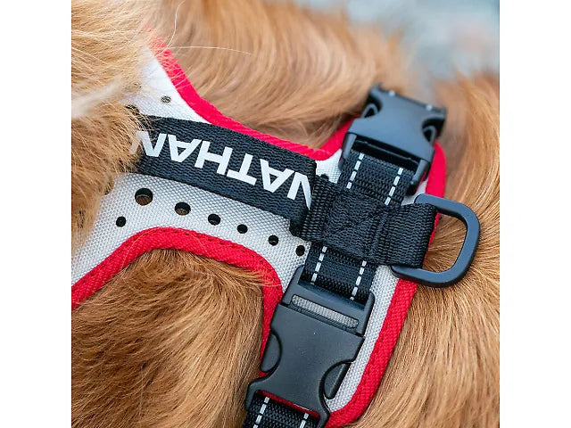 Nathan Reflective Dog Harness