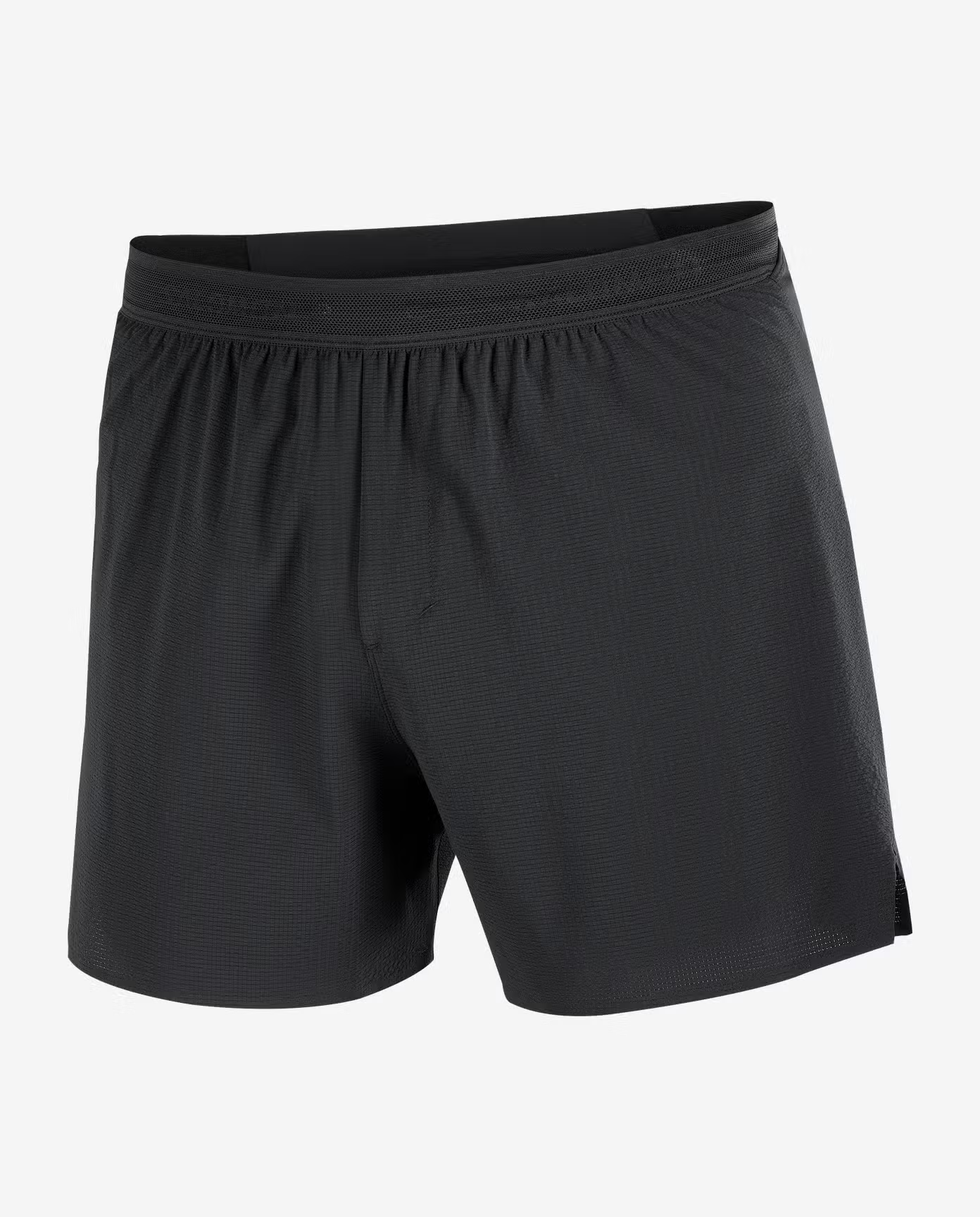 Salomon Sense Aero Stow 5" Shorts Men