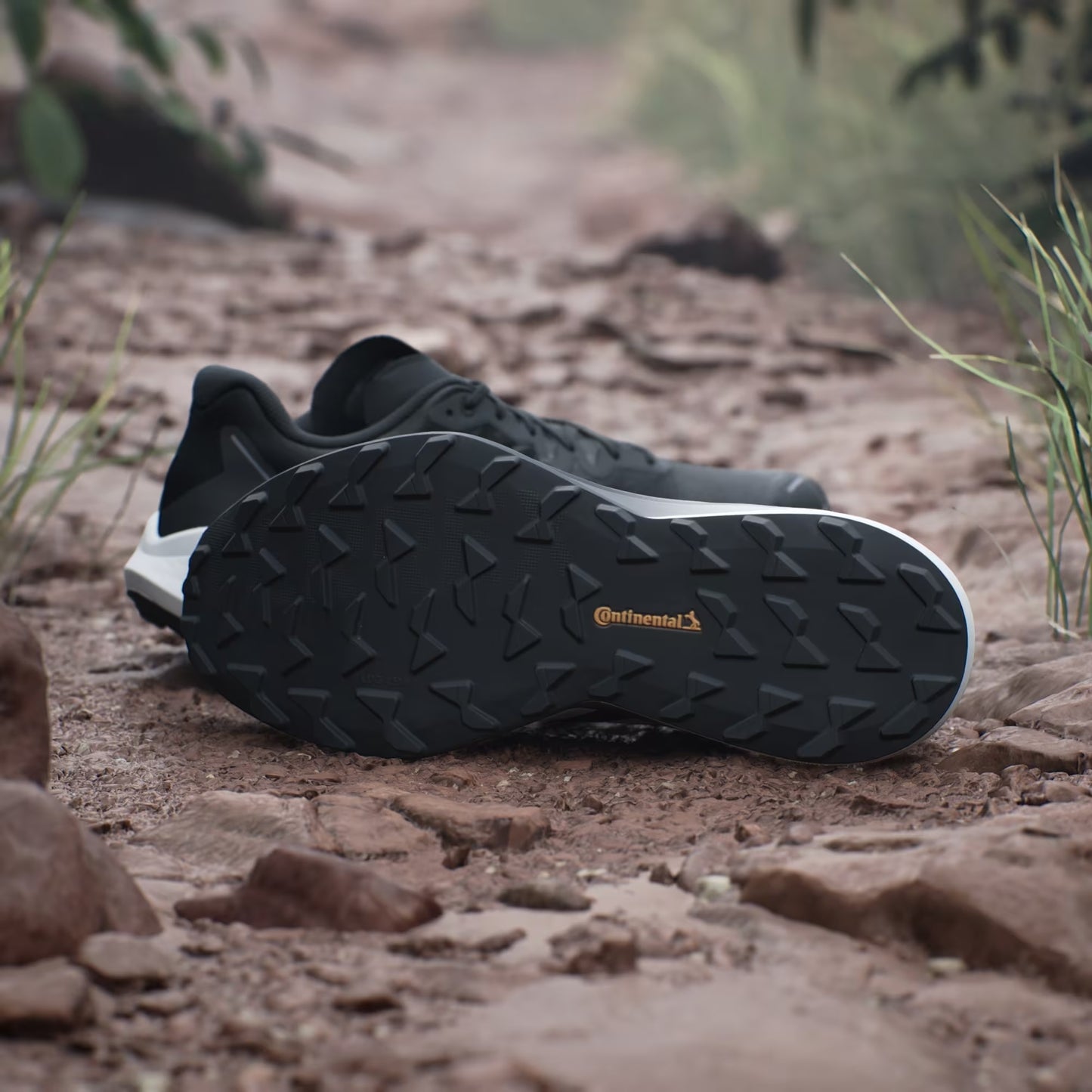 Adidas Terrex Agravic 3 Men Sale