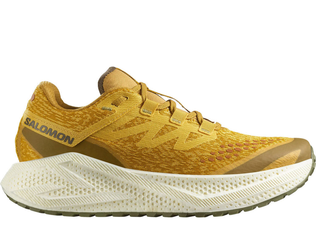 Salomon Aero Glide 3 GRVL Men