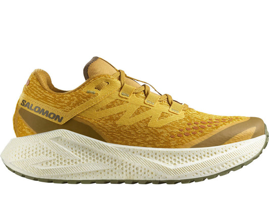 Salomon Aero Glide 3 GRVL Men